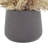 Pampas Arranged in Fiberstone Pot