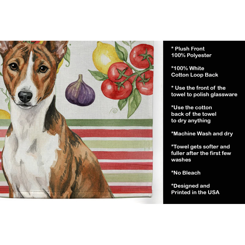 Torchon bringé et blanc Basenji, Brindle/White Basenji