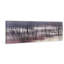 Barely by Don Schwartz - Wrapped Canvas Panoramic Print-1103112652