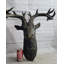 Figurines et sculptures Kaelib