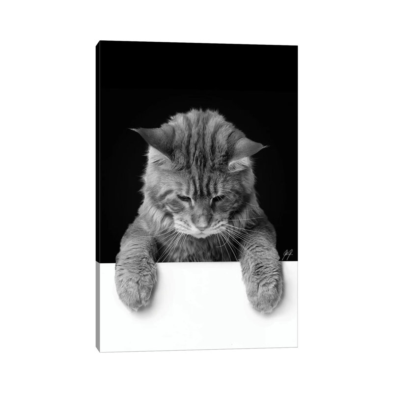 Cute Cat I by Kathrin Federer - Wrapped Canvas Print, 30.48cm H x 20.32cm W x 1.91cm D