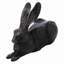 Statue de lapin Coronel-1592824405