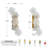 4 - Light 21.6'' Modern Wallchiere Glass Wall Sconce-2105269345