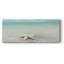 " Beach Set Starfish "