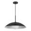 Regent 19-in Black Pendant