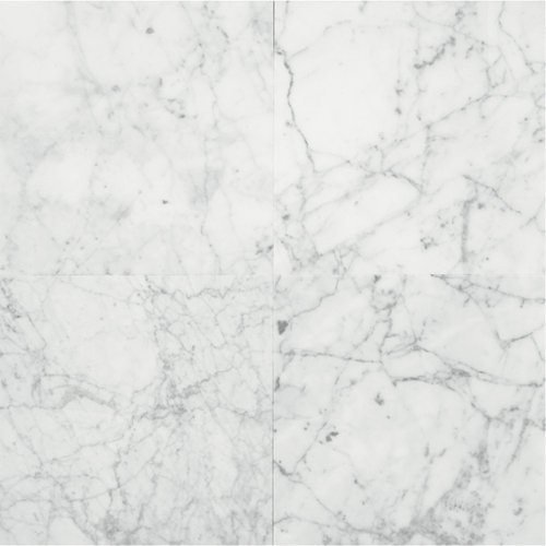 Marble Collection 12" x 12" Polished Natural Stone Field Tile in Carrara Gioia