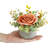 Lazaros Arrangement