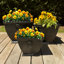 Boîte à fleurs Bramhall-835781448