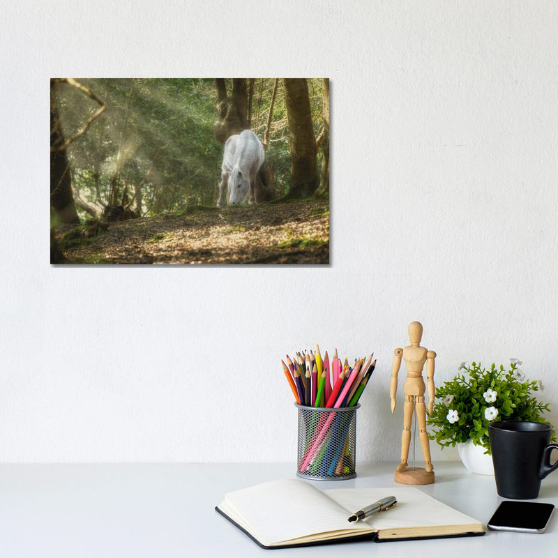 Mystical Pony by David Gardiner - Single Picture Frame Print on Canvas, 20.32cm H x 30.48cm W