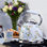 VQ Laura Ashley 10 Cup Stainless Steel Stovetop Tea Kettle