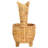 Auroris Basket