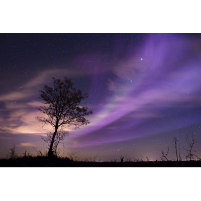 Gryta Purple Sky - Wrapped Canvas Print