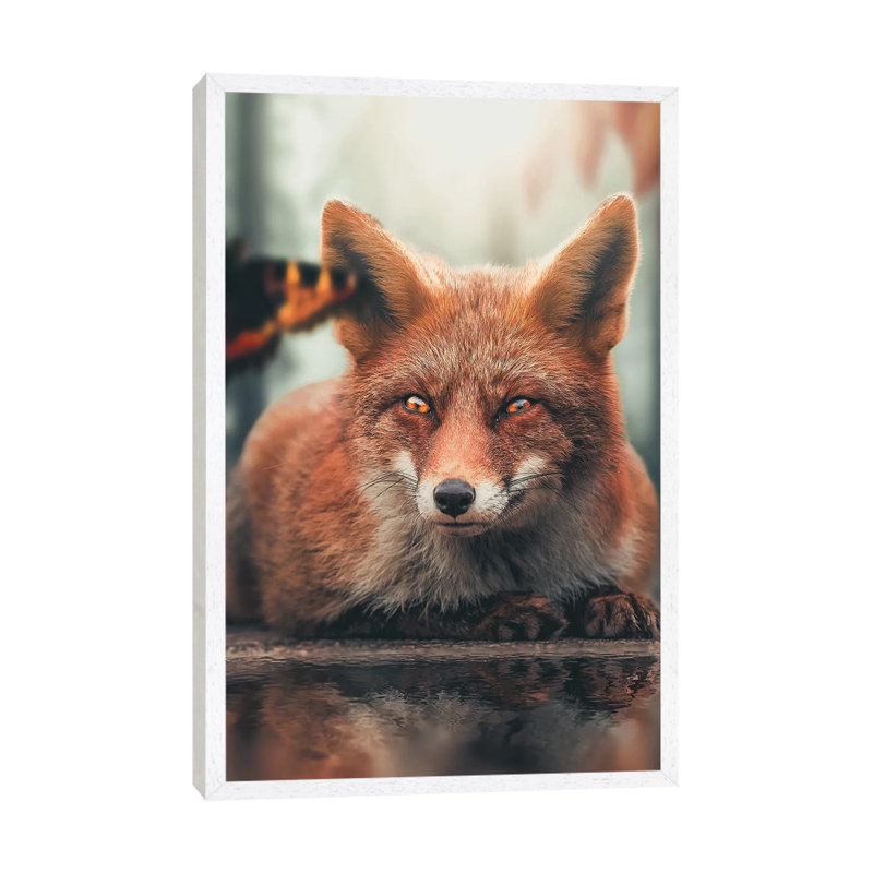 Fox Reflection Butterfly by Zenja Gammer - Print on Canvas, 66.04 cm H x 45.72 cm W, White Framed