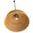 Outdoor Pendant-2089226194