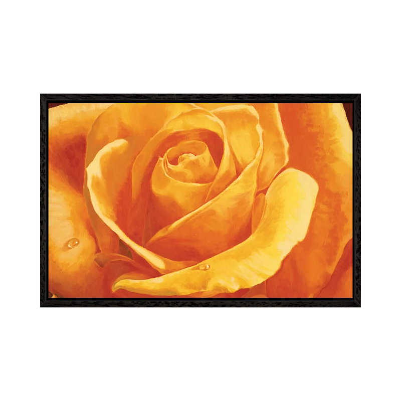 Gaiezza by Stefania Re - Floater Frame Gallery-Wrapped Canvas Giclée on Canvas, Black, 45.72 cm H x 66.04 cm W