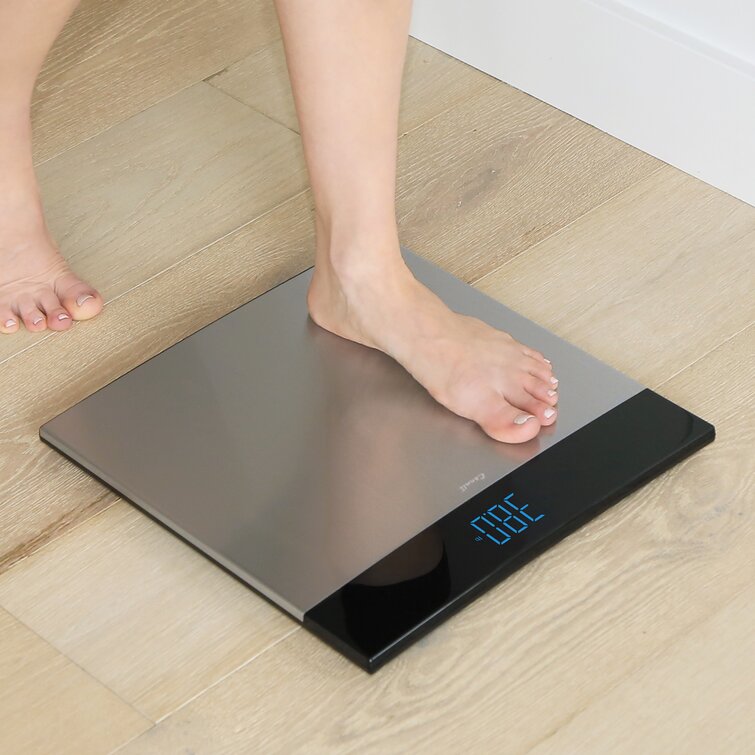Escali Extra Large Display Bathroom Scale - Sports Unlimited