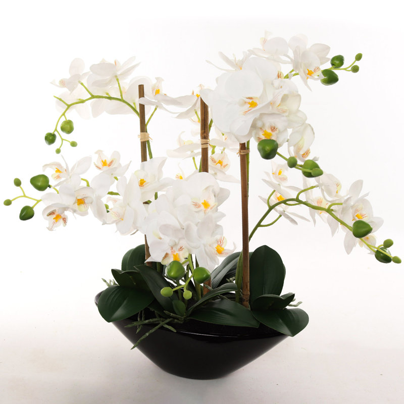 18" White Phalaenopsis Orchid Flowers In Black Ceramic Vase