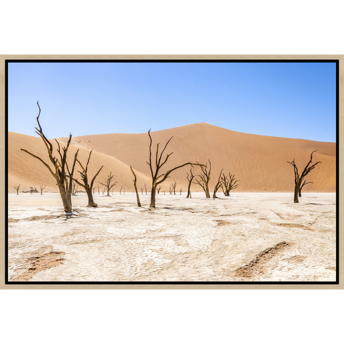 Chelsea Art Studio Namibian Skeleton Trees XI by Richard Silver | Perigold