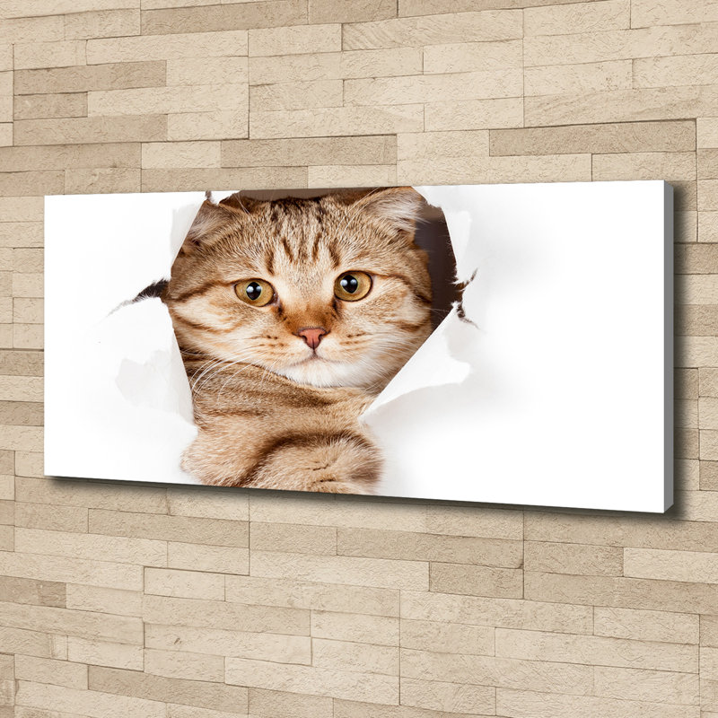 Cat - Wrapped Canvas Print