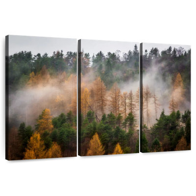 Alvord Mist Covered Autumn Forest