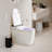 BirchLn Smart Elongated Toilet, Heated Seat, Auto Open/Close, Foot Sensor, Warm Water, Dryer & Night Light
