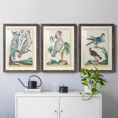 Pastel Birds I Premium encadré mat - prêt à être accroché