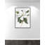 «Pearly Beauty I Print» par Eva Watts-129166350-129166353-129166415