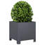 Ashvini Outdoor Planter Box-501376785-501376799