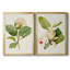 «Magnolia Flowers I», ensemble de 2 reproductions d'art sur toile encadrées-2102747814-2102747808