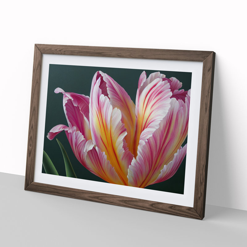 Heavenly Flower - Single Picture Frame Print, 34cm H x 46cm W x 2cm D, Walnut