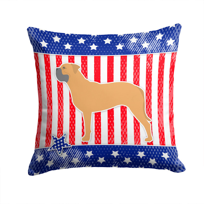 Coussin décoratif intérieur/extérieur patriotique, H 14 po x l 14 po x P 3 po
