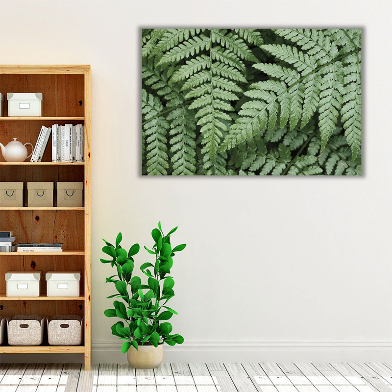Lady Ferns II - reproduction d'art sur toile, H 32 po x l 48 po