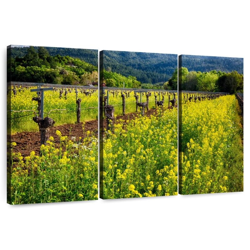 Alvord Yellow Mustard And Grapevines, 48" H x 74" W