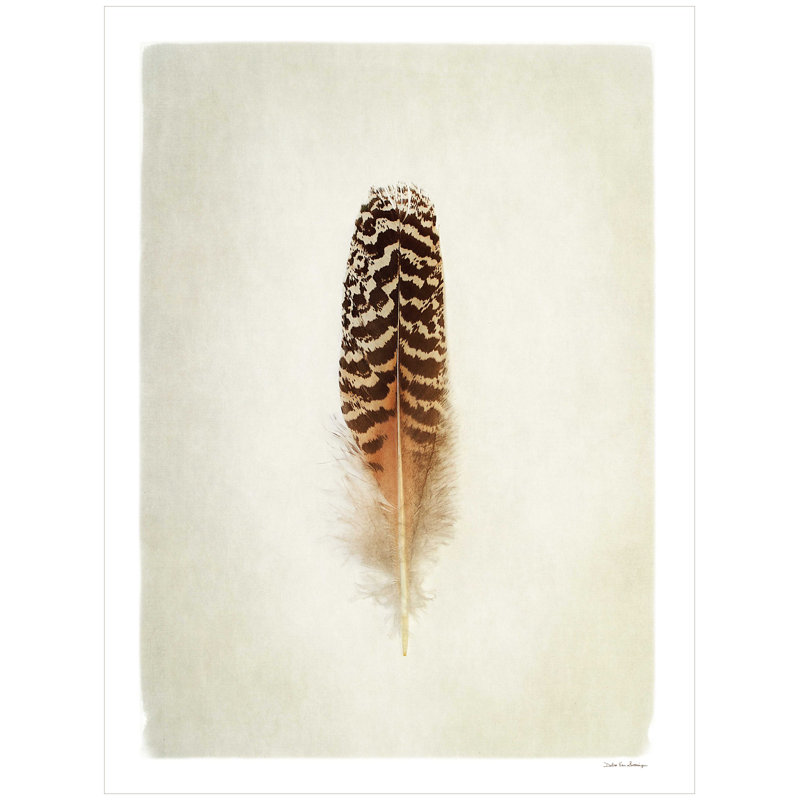 «Feather I» par Debra Van Swearingen - impression sur toile tendue, H 16 po x l 12 po
