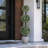Artificial Topiary in Pot-1415229214-1415229215