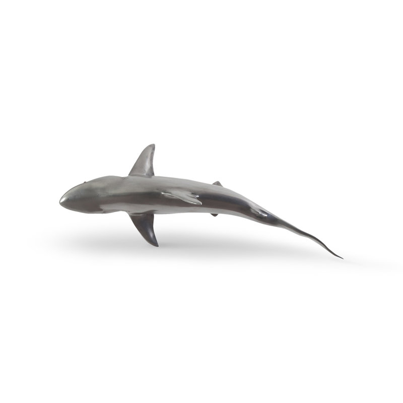 Animals Whaler Shark Wall Décor