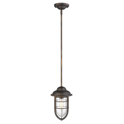 Hitchcock 1 - Light Single Pendant
