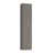 Gray Elm