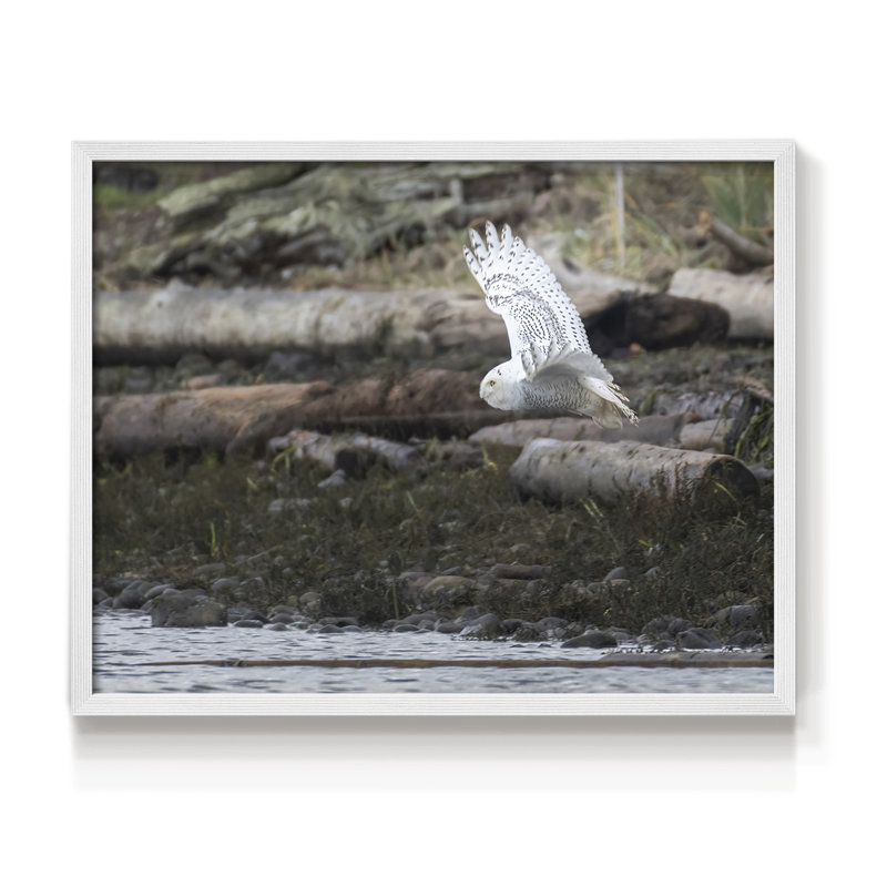 Vol en solo - Reproduction encadrée - Restickable, H 11 po x l 14 po, Blanc