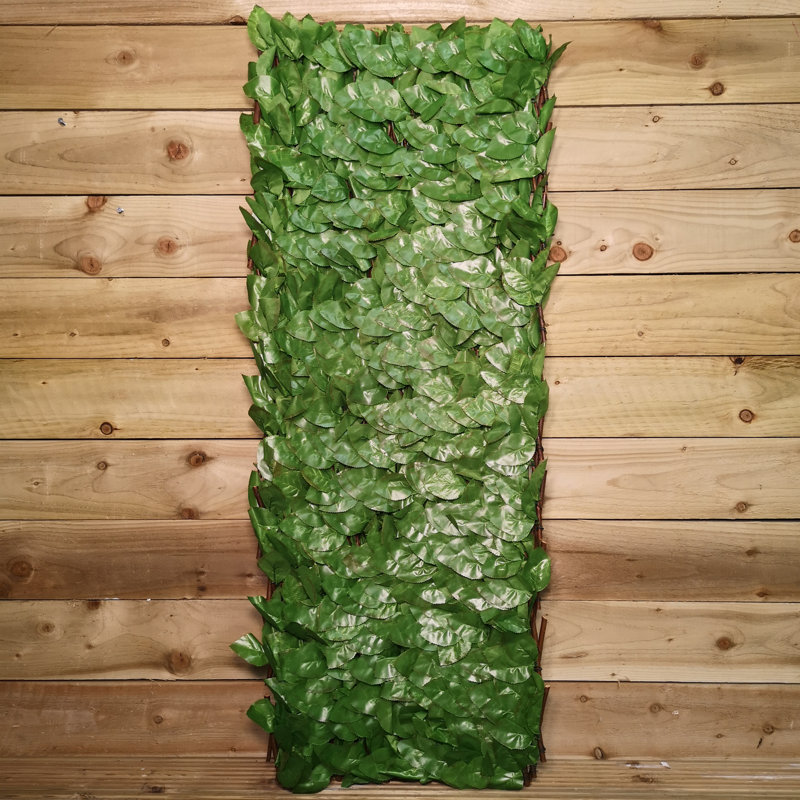 Anthoy 200cm H x 100cm W Plastic Trellis