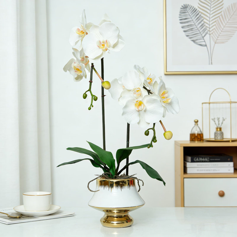 Arrangement réaliste de fleurs d'orchidées artificielles dans un vase en céramique - Phalaenopsis en polyuréthane doux réaliste pour le bureau d'hôtel