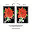 Joy Joy Poinsettia