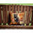 Asian Cat in Fall Leaves Throw Pillow-112679441