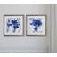 Blue Ice Iris - ensemble de 2 reproductions d'art encadrées-27609833