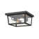 Outdoor Flush Mount
