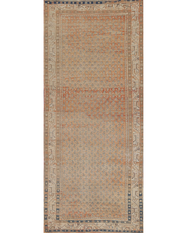 Tapis de couloir traditionnel All-Over 3 x 9