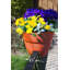 Pot à fleurs en plastique Dalisha-2116642523
