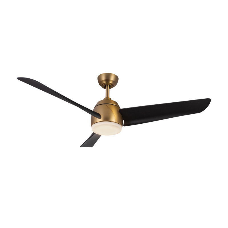 Thalia 54'' Ceiling Fan with LED Lights, Matte Black, Brushed Gold