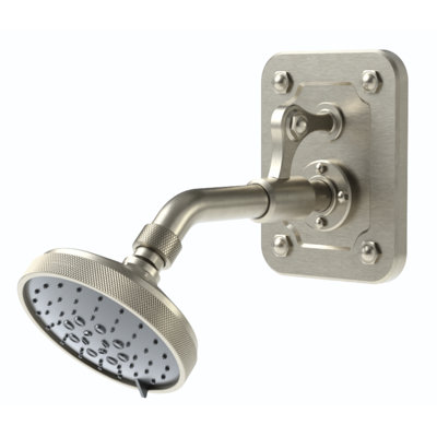 Pomme de douche murale Argonaut avec plaque arrière