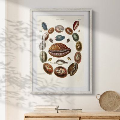 Kanter -Gallery Wrapped Canvas
